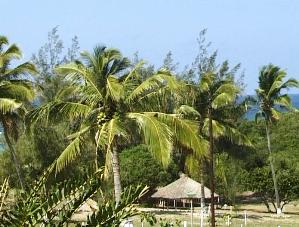 Coconut Bay